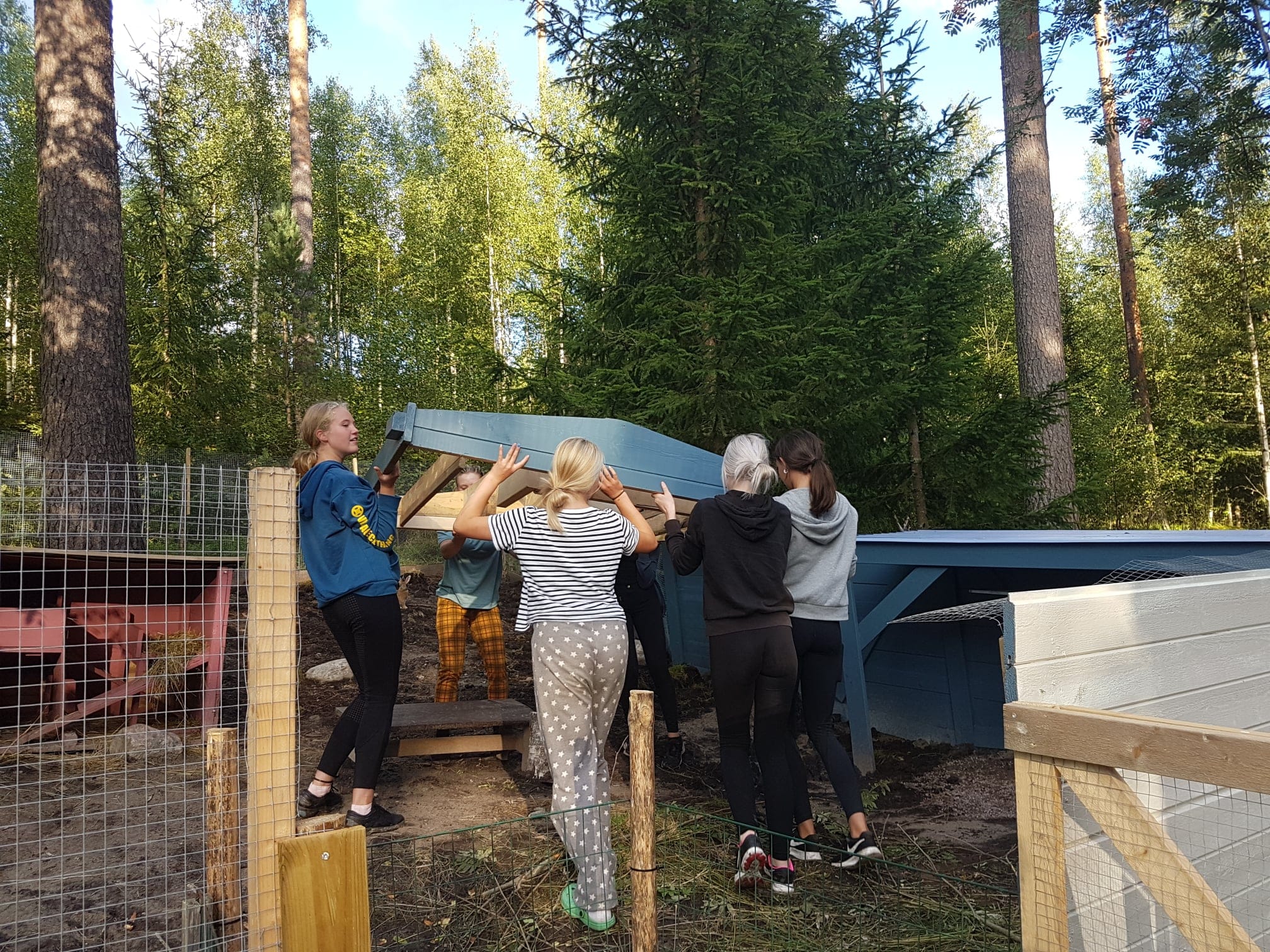 En arborist sitter högst upp i ett träd och sågar av toppen. BLå himmel i bakgrunden.