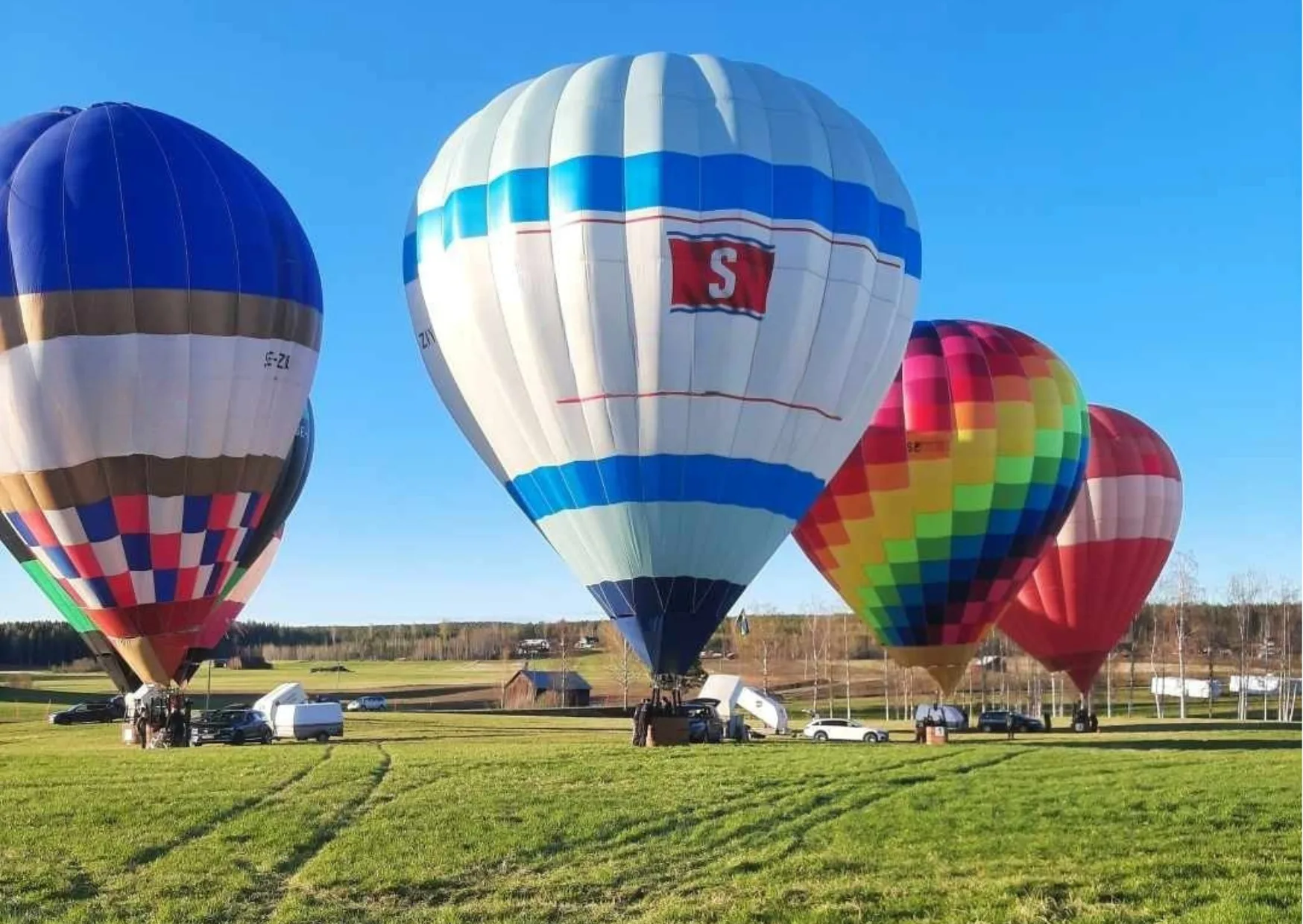 Ballong Ockelbo 2025 utan text En arborist sitter högst upp i ett träd och sågar av toppen. BLå himmel i bakgrunden.