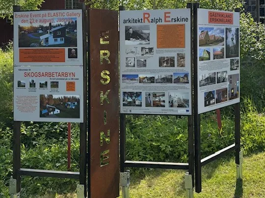 Erskine 4x3 En arborist sitter högst upp i ett träd och sågar av toppen. BLå himmel i bakgrunden.