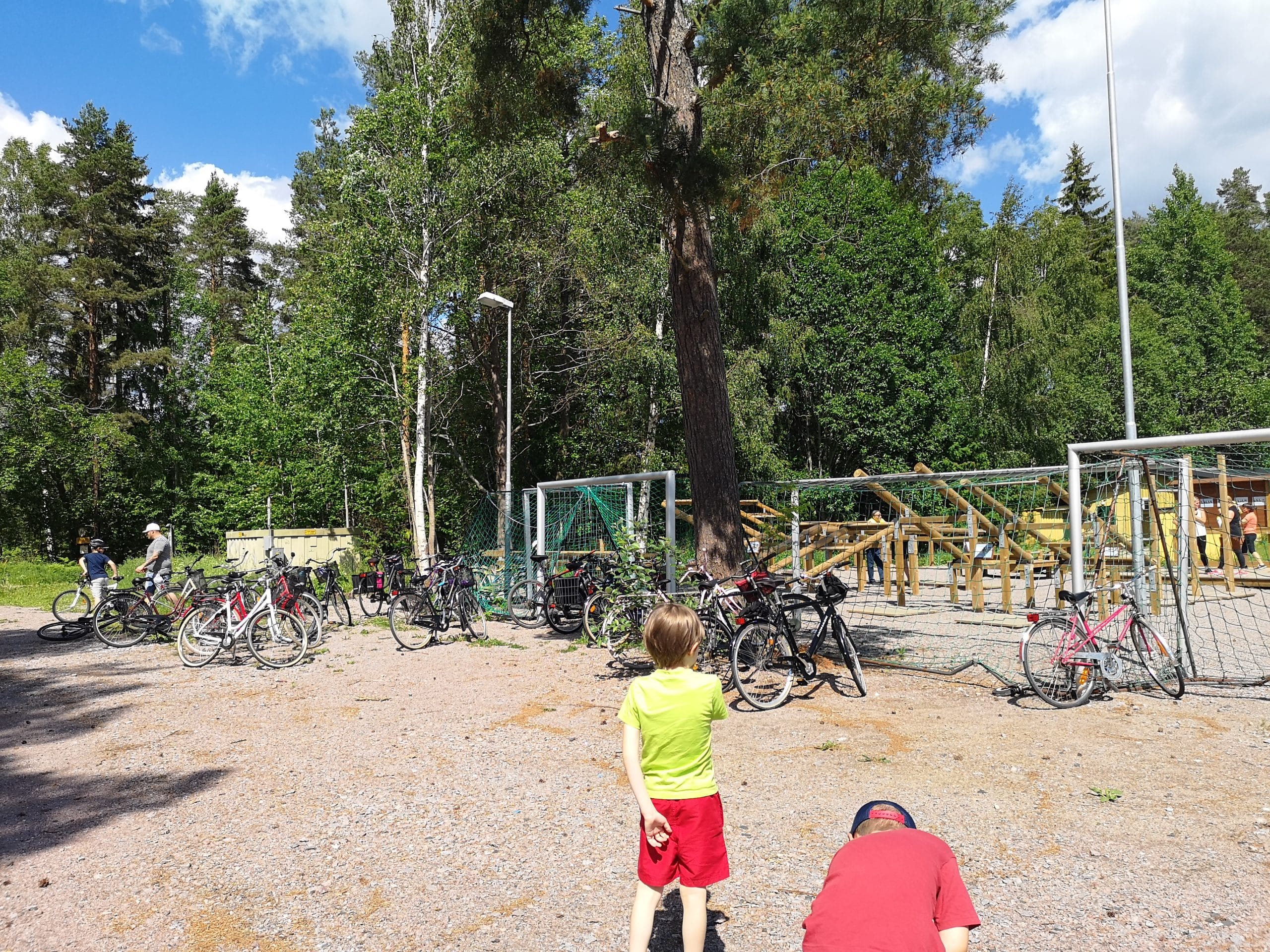 En arborist sitter högst upp i ett träd och sågar av toppen. BLå himmel i bakgrunden.