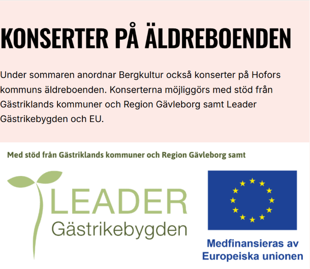 Kvinna vid dator, skärm full av foton på bakverk.