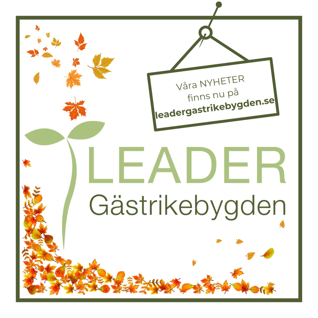 NYHETER Leader